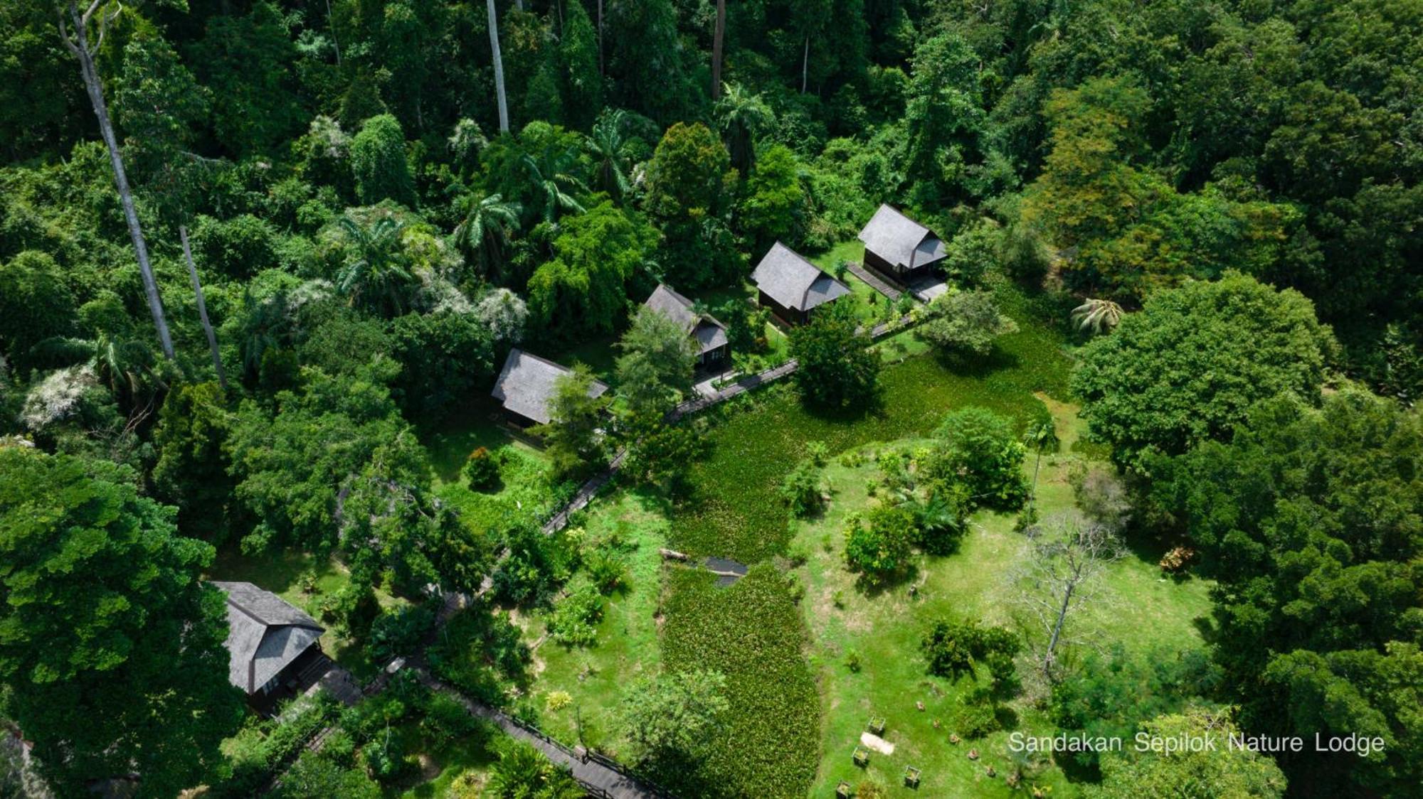 Sepilok Nature Resort SDK Eksteriør bilde